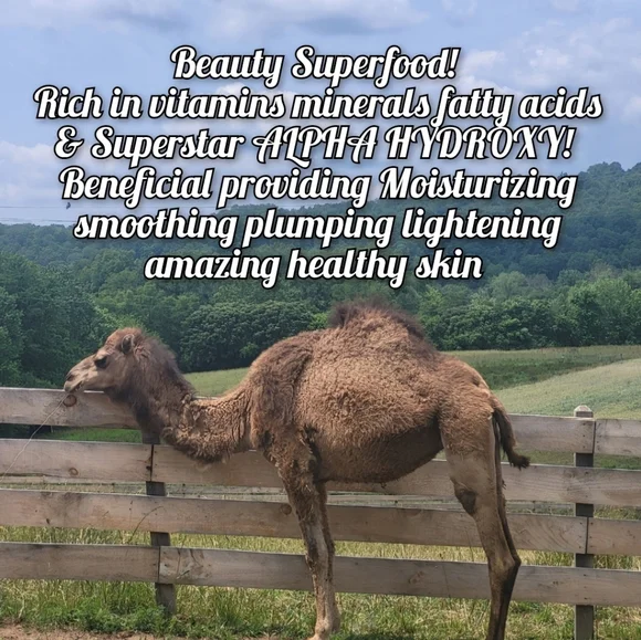 LIMITED QUANTITY Super Beauty Food Camel's Milk Soap - Picture 2 of 14